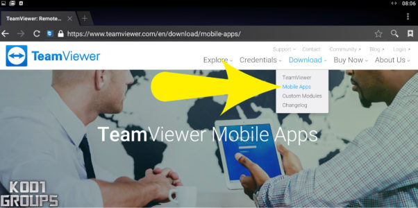 add teamviewer support button to my website