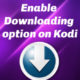 Enable Downloading option on Kodi