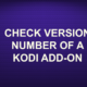 CHECK VERSION NUMBER OF A KODI ADDON